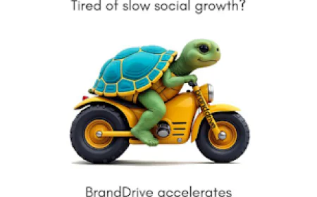 Website Development Company in Noida | Affordable & Professional Services