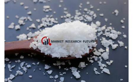 Breaking: Caustic Soda Flake Market Poised for Sustained Growth Through 2035
