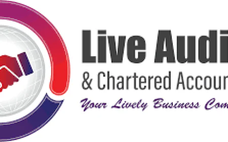 Best Accounting Firms in Dubai: Reliable Financial Experts for Business Success