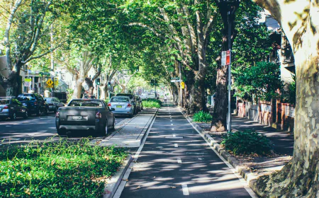 7 Must-Visit Destinations for Your Day Trips from Surry Hills