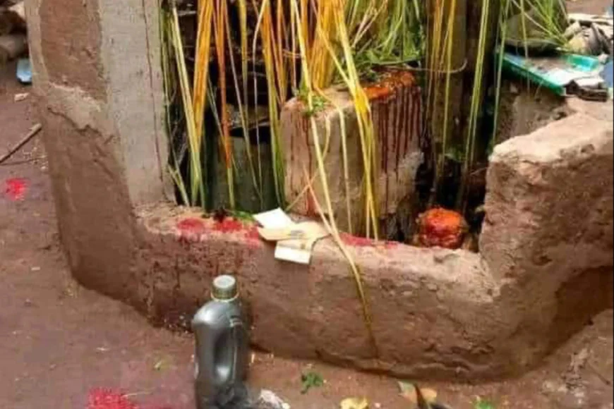 The Most Powerful SpirItual Herbalist Native Doctor IN Nigeria+2349159450040