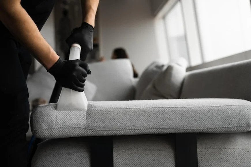 Professional Furniture Cleaning Services for a Healthier and More Comfortable Living Space