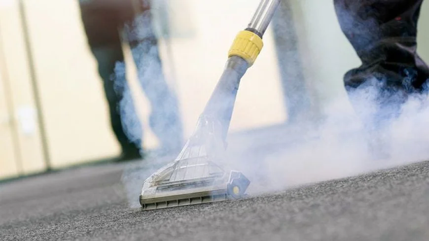Elevating Home and Office Cleanliness with Professional Carpet and Upholstery Care