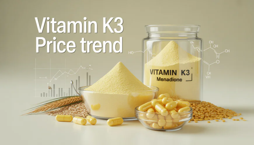 Vitamin K3 Price Trend: A Simple View of Market Movement