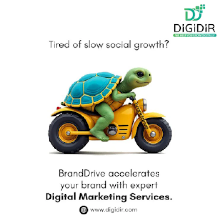 Website Development Company in Noida | Affordable & Professional Services