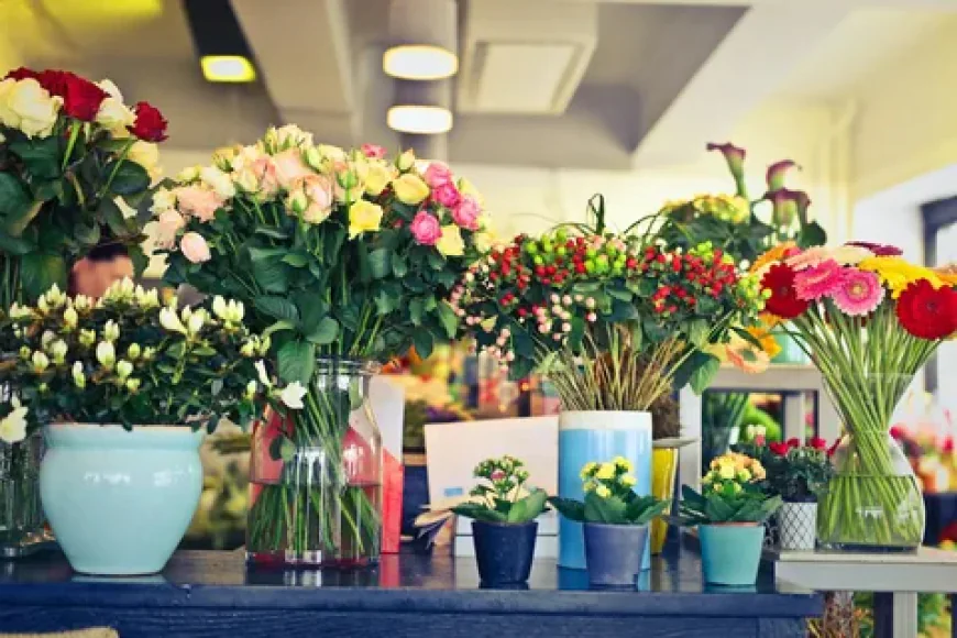 Petals in the Capital: How an Islamabad Flower Shop Reflects the Rhythm of the City