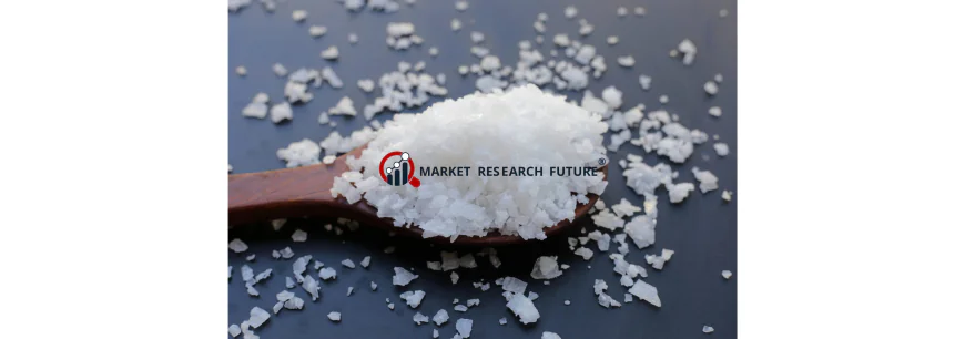Breaking: Caustic Soda Flake Market Poised for Sustained Growth Through 2035