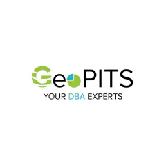 GeoPITS Global Pvt Ltd